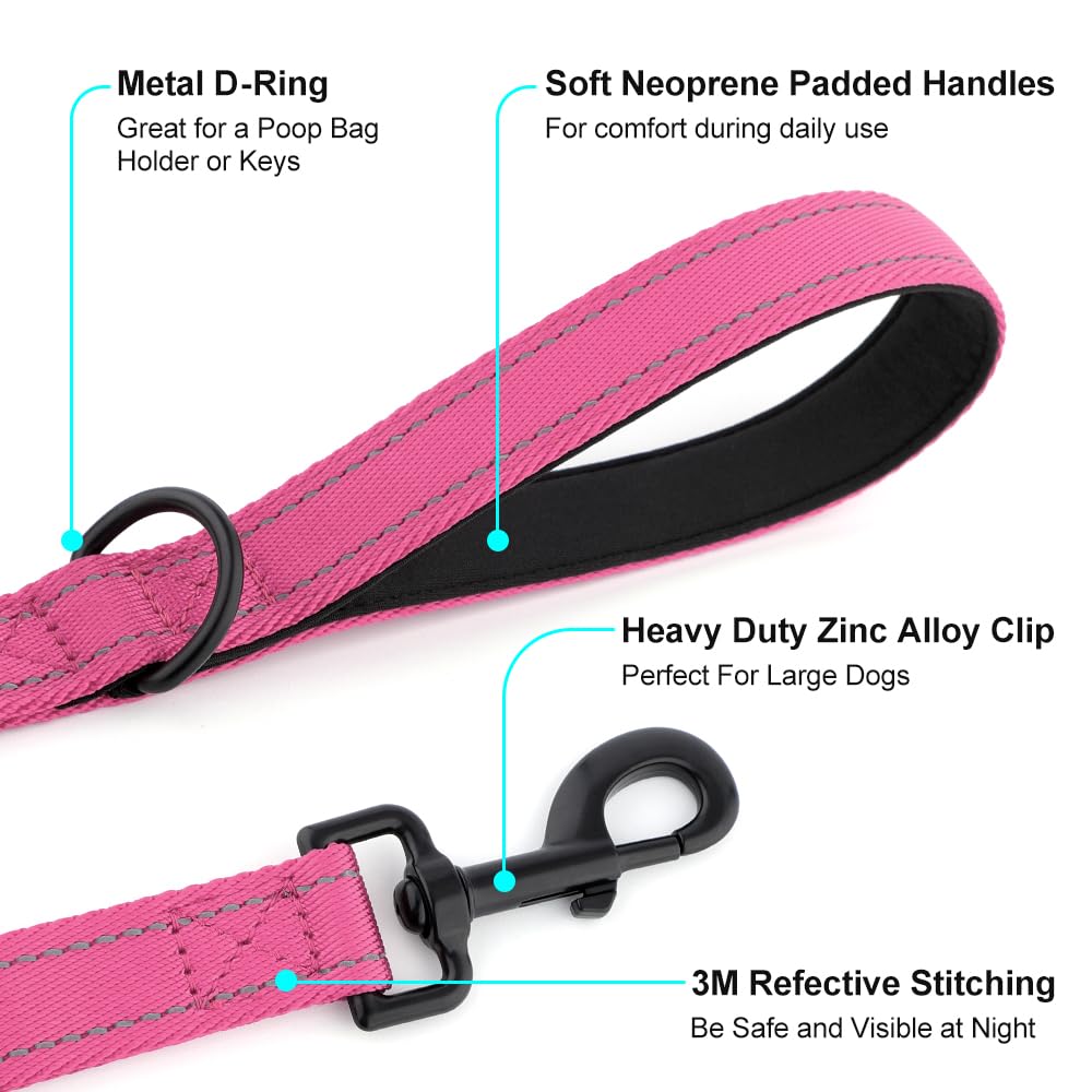 WalkMagic large clasp and D-ring add security and convenience.