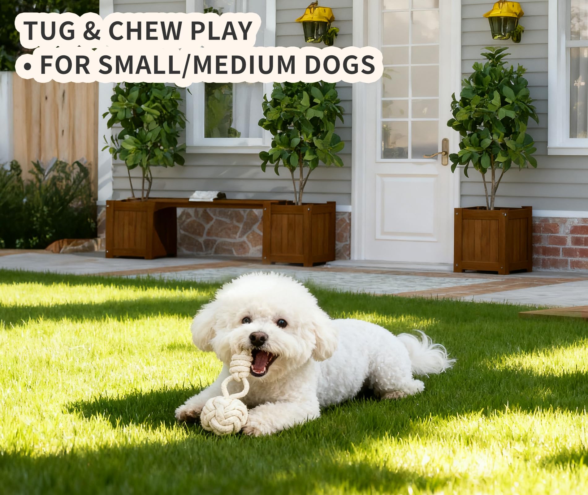 Wanapure dog nameplate ring adds personalized touch for puppies