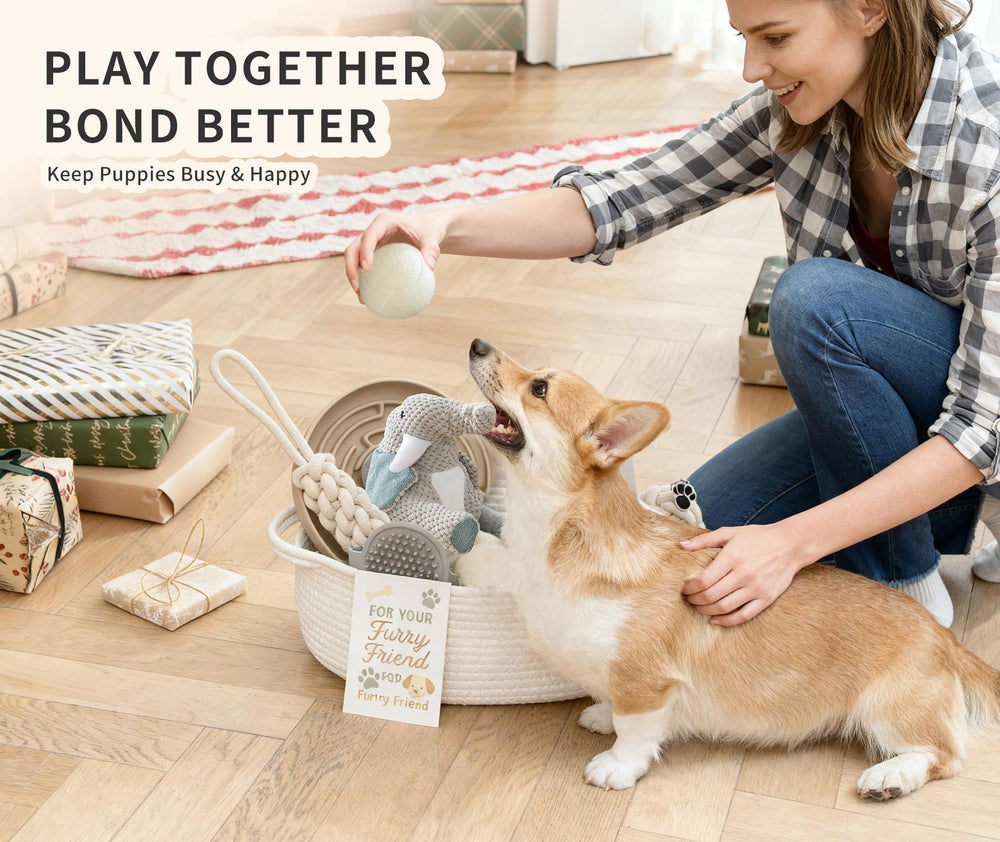 Wanapure squeaky elephant plush toy for curious puppies