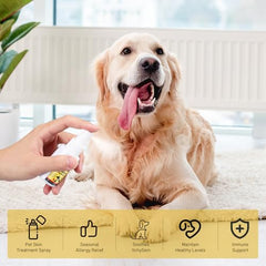 Wanban cat itchy skin closeup showing irritated area before treatment.