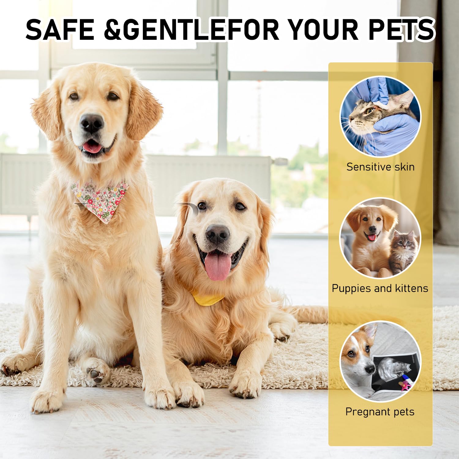 Wanban dog skin care routine image demonstrating gentle spray use.