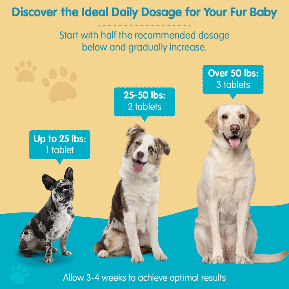 Pawsitive Wanderfound 100-chewables bottle image communicates convenient dosing and daily routine fit.