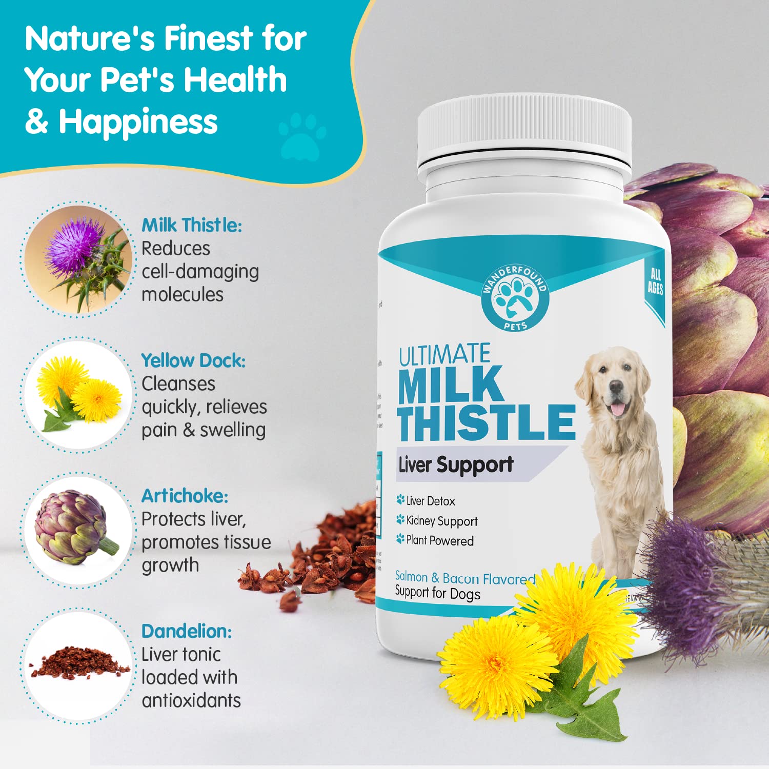 Pawsitive Wanderfound vitality-wellbeing image suggests enhanced wellbeing and pet energy.
