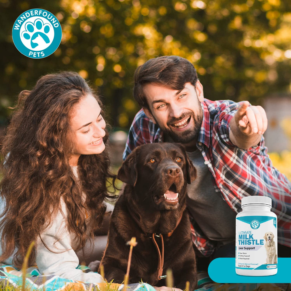 Pawsitive Wanderfound-care image symbolizes trusted brand and attentive customer support.