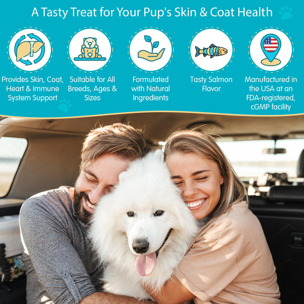 Wanderfound Pets omega-3 dog coat shine close-up demonstrates healthier fur