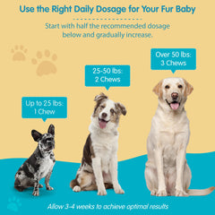 Wanderfound Pets omega-3 dog joint support chew aids mobility