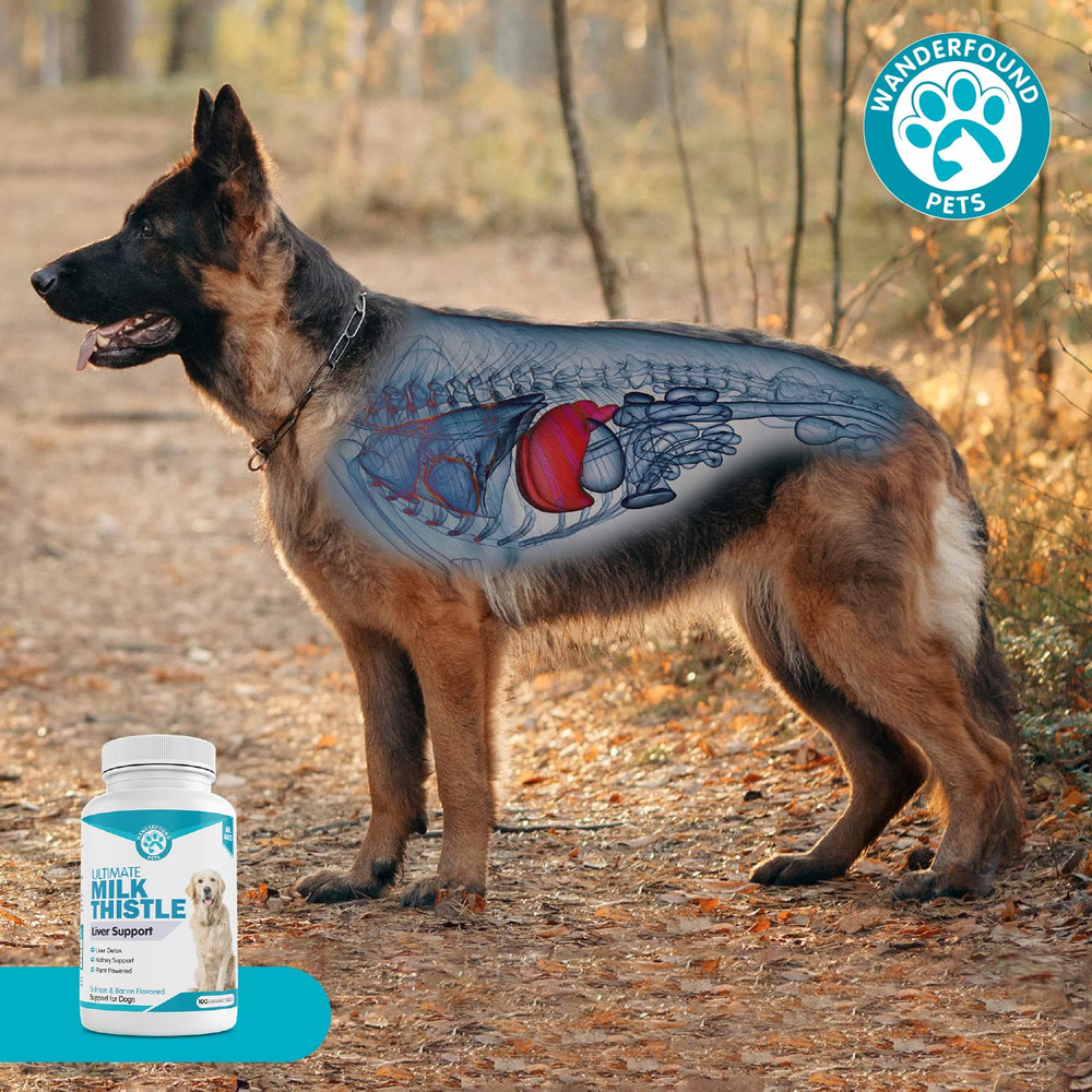 Pawsitive Wanderfound bottle with label emphasizes natural ingredients without byproducts.