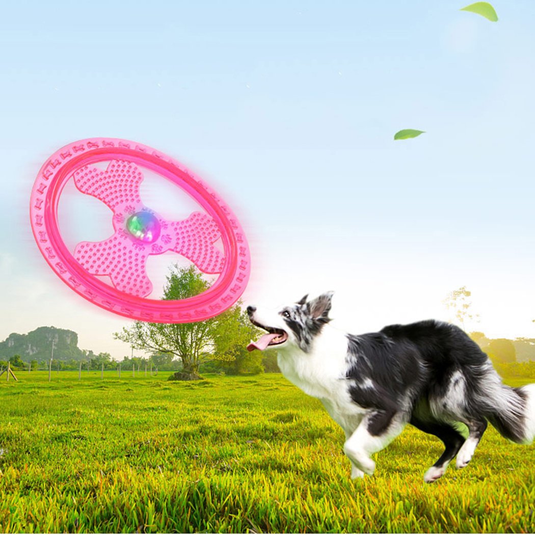 Wandrola non-toxic TPR disc soft on teeth during fetch sessions.