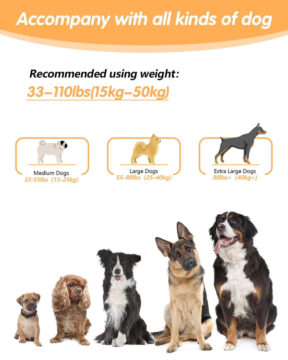 WANFIRE leash car-safety buckle for secure car travel with dog.