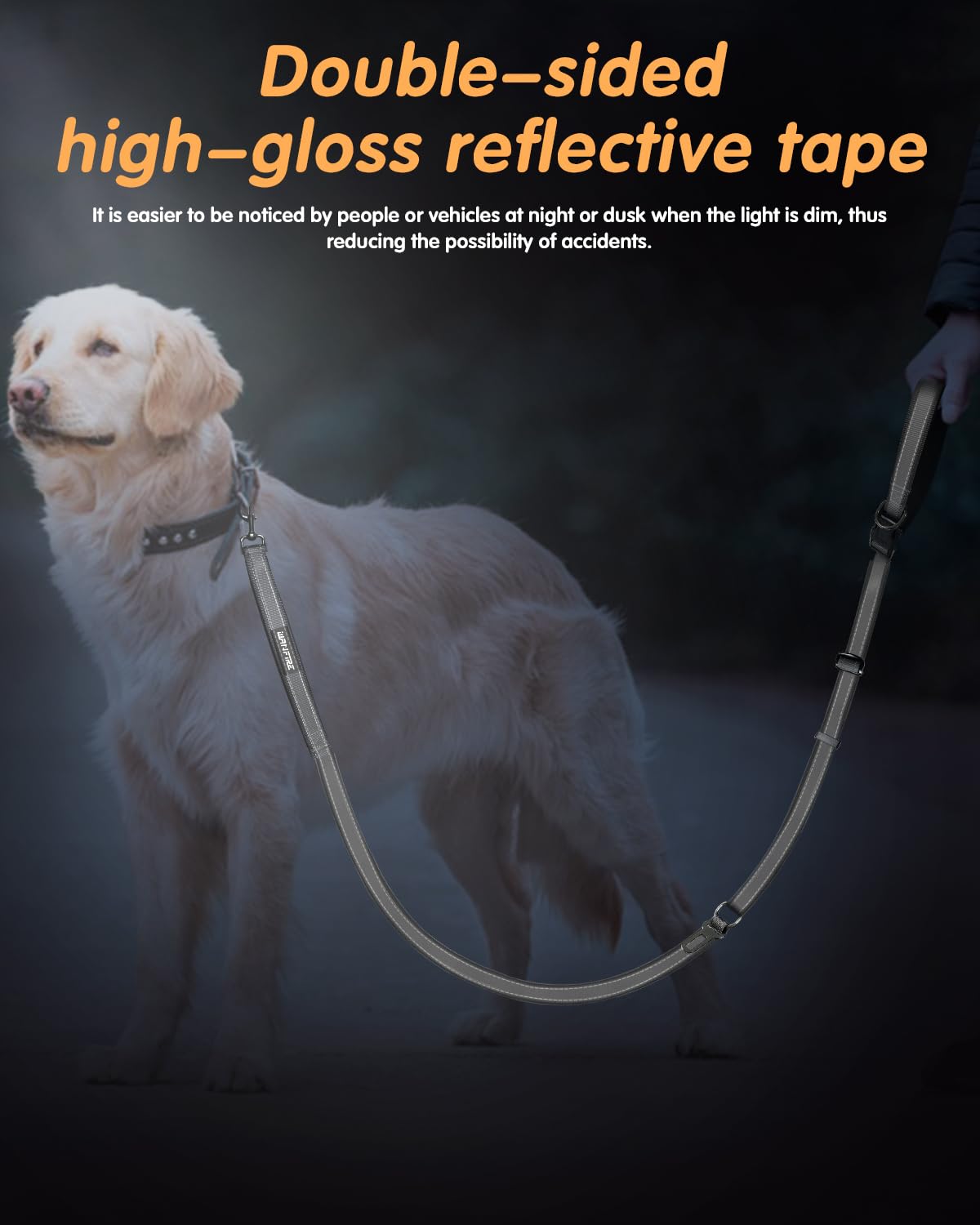 WANFIRE leash with reflective tape for night visibility.