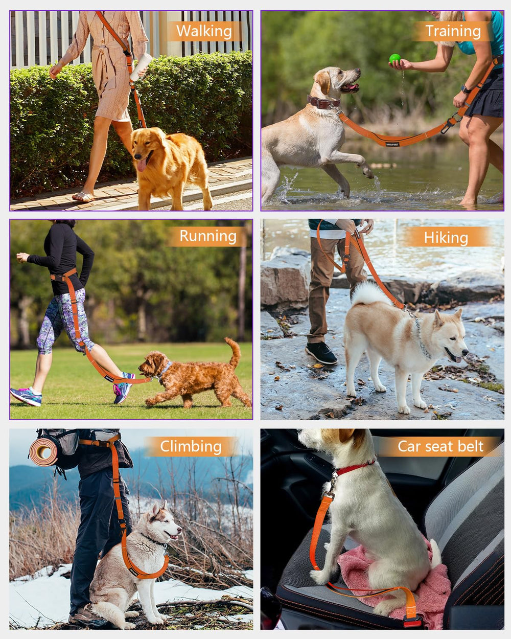 WANFIRE orange leash for medium to large dogs during urban strolls