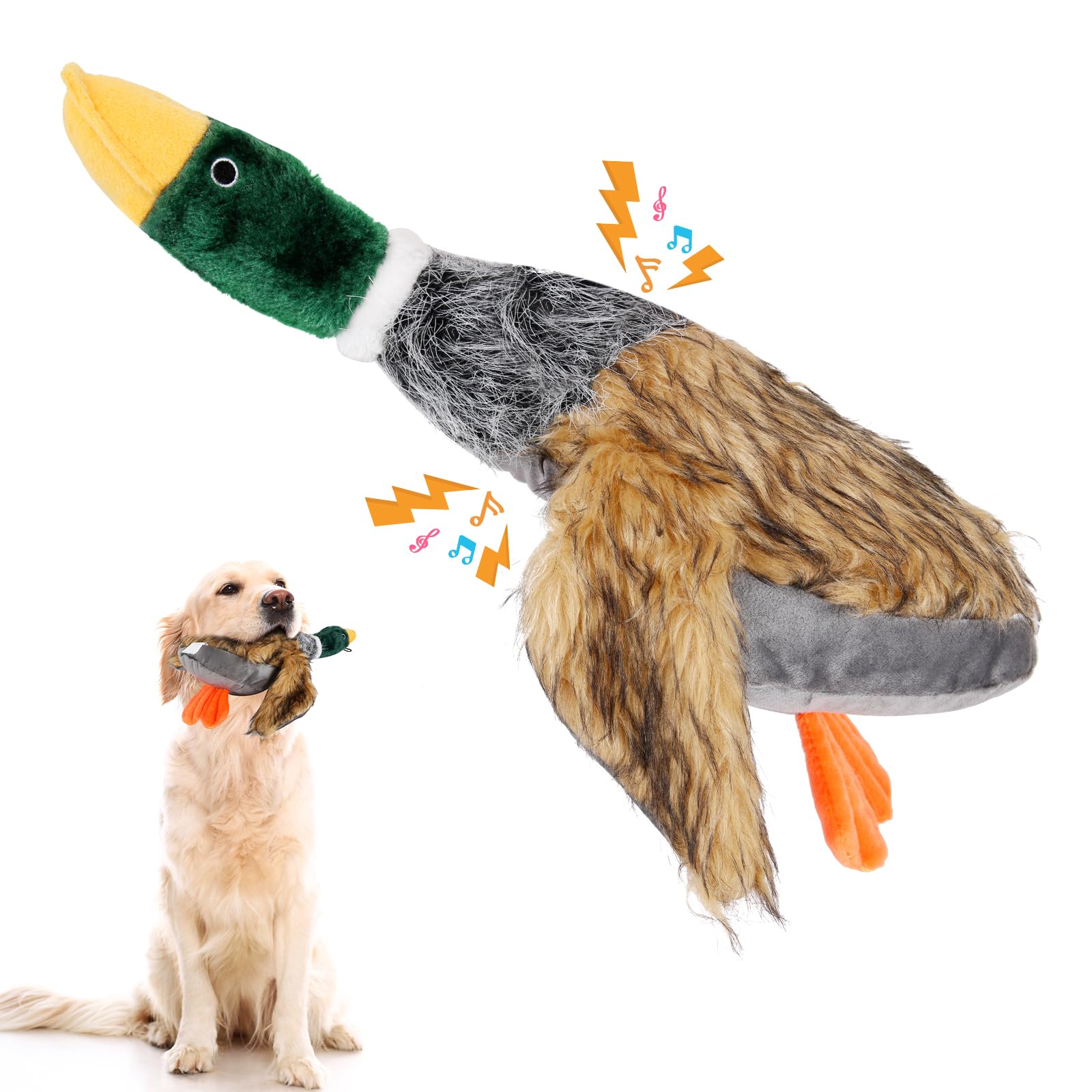 Wangstar dog toy promotes active play and focus