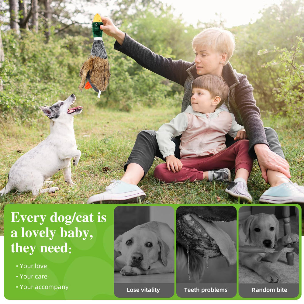 Wangstar small-breed dog toy for busy, curious dogs