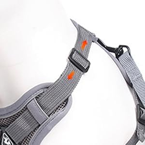 Wanheart easy-on/off adjustable straps help cats grow into harness