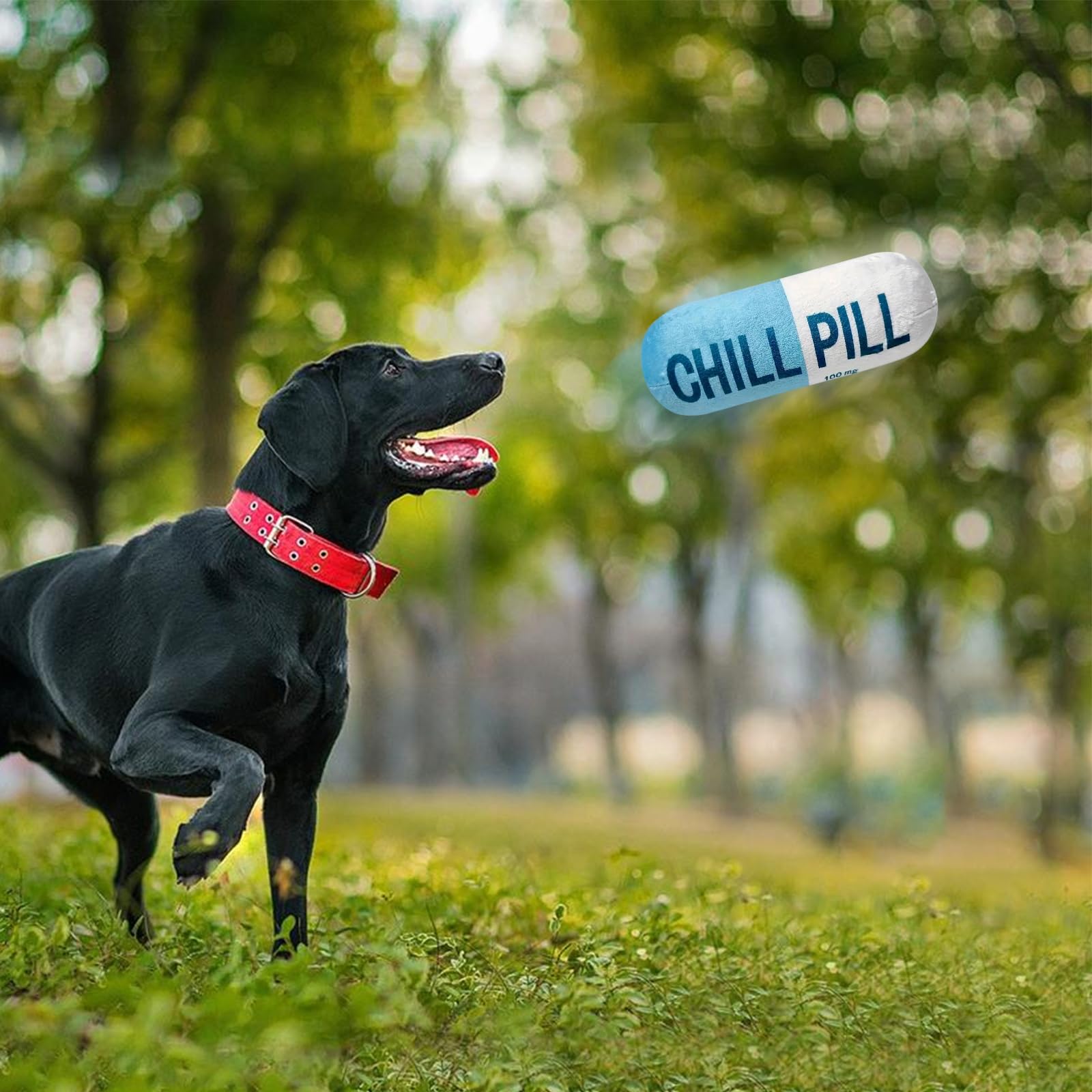 Wanheart Funny Chill Pill Toy blue gift-ready packaging appeals to pet lovers.