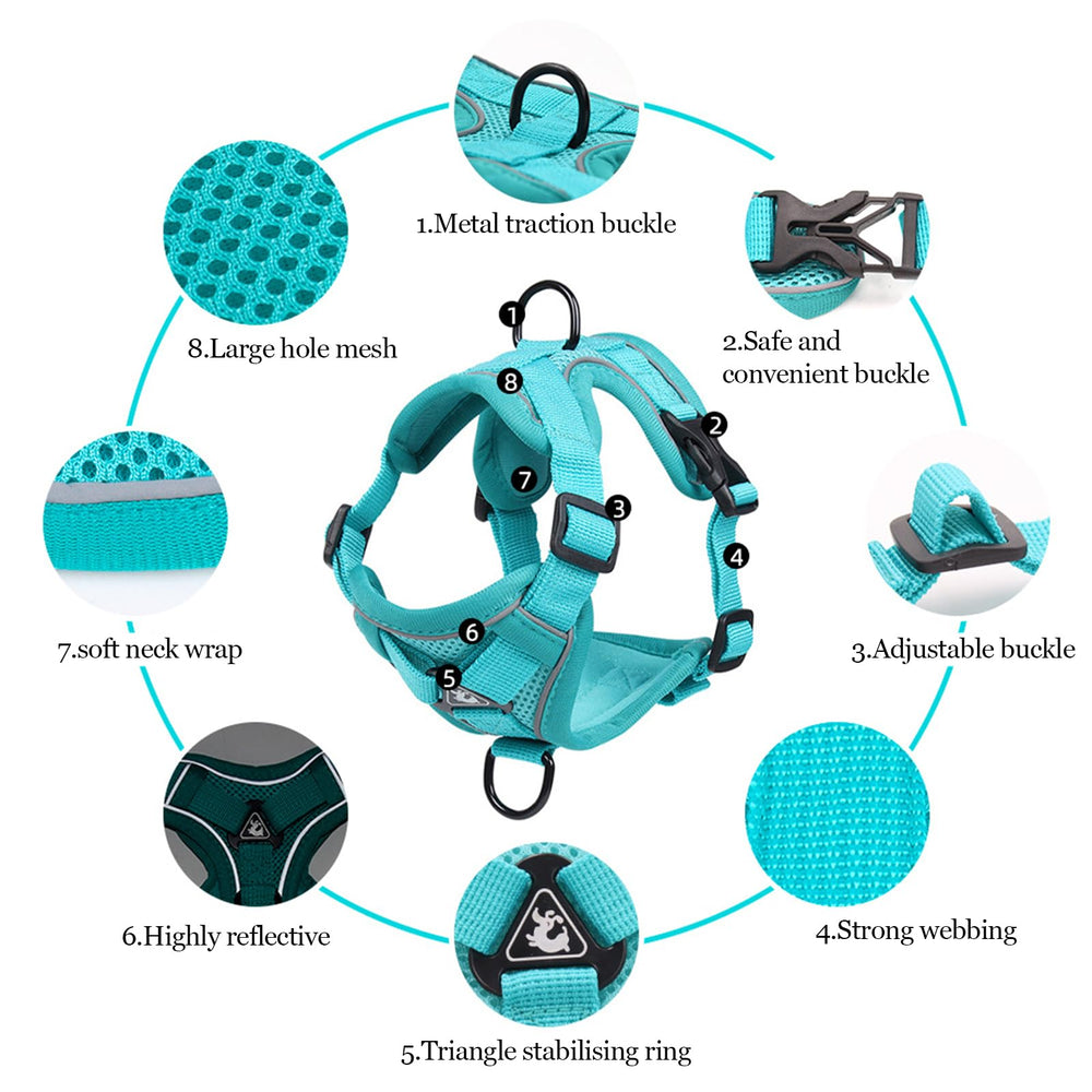 Wanheart Emerald L harness with strap adjustment demonstrates easy on/off and growing room.