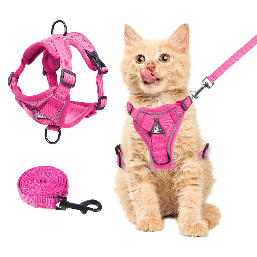 Wanheart Summer cat harness rose red on cat for comfortable outdoor strolls