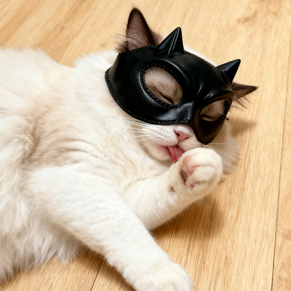 WANHUHOU Cat Bat Mask with adjustable size for a snug fit on small cats.
