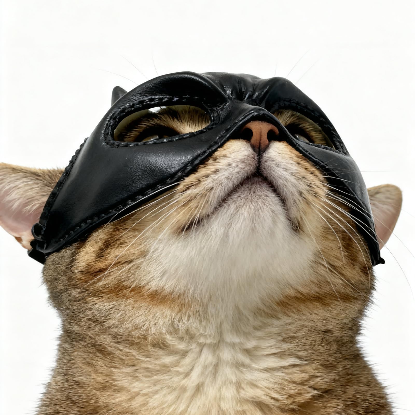 WANHUHOU Cat Bat Mask features a cool bat-inspired design in soft latex.