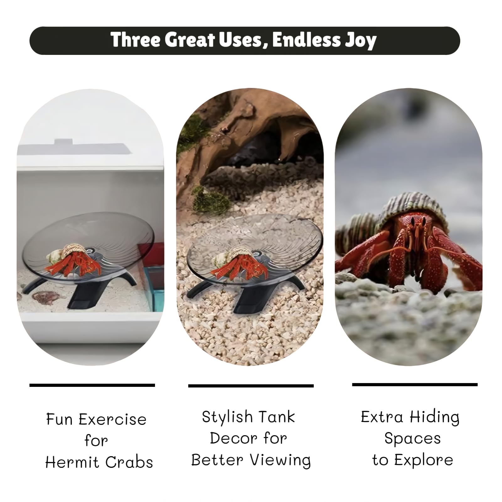 Wanwanzi wheel installation view demonstrates easy setup in compact cages