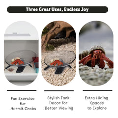 Wanwanzi wheel installation view demonstrates easy setup in compact cages