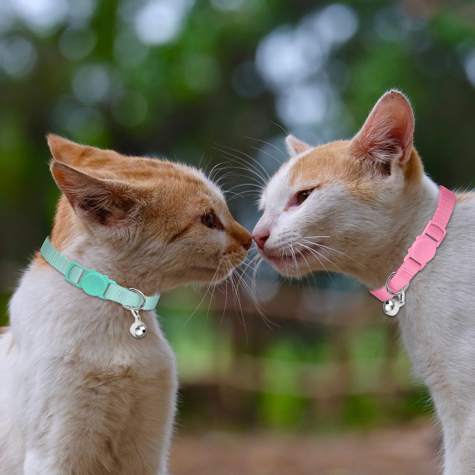 Waoduld breakaway-buckle cat collar shows safe quick-release feature