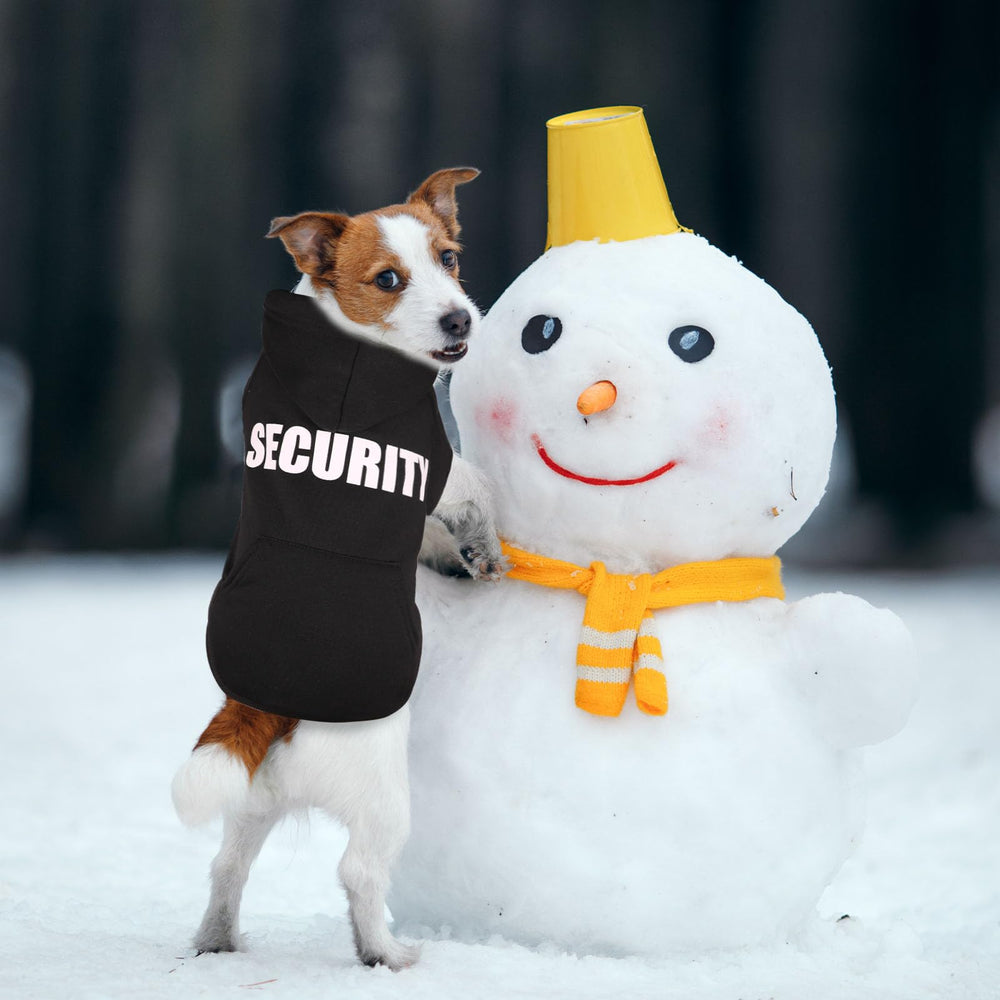 Waoduld dog hoodie worn during a walk demonstrates practical cold-weather use.