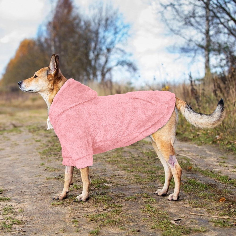 Waoduld dog sweater worn during indoor cuddles or outdoor errands