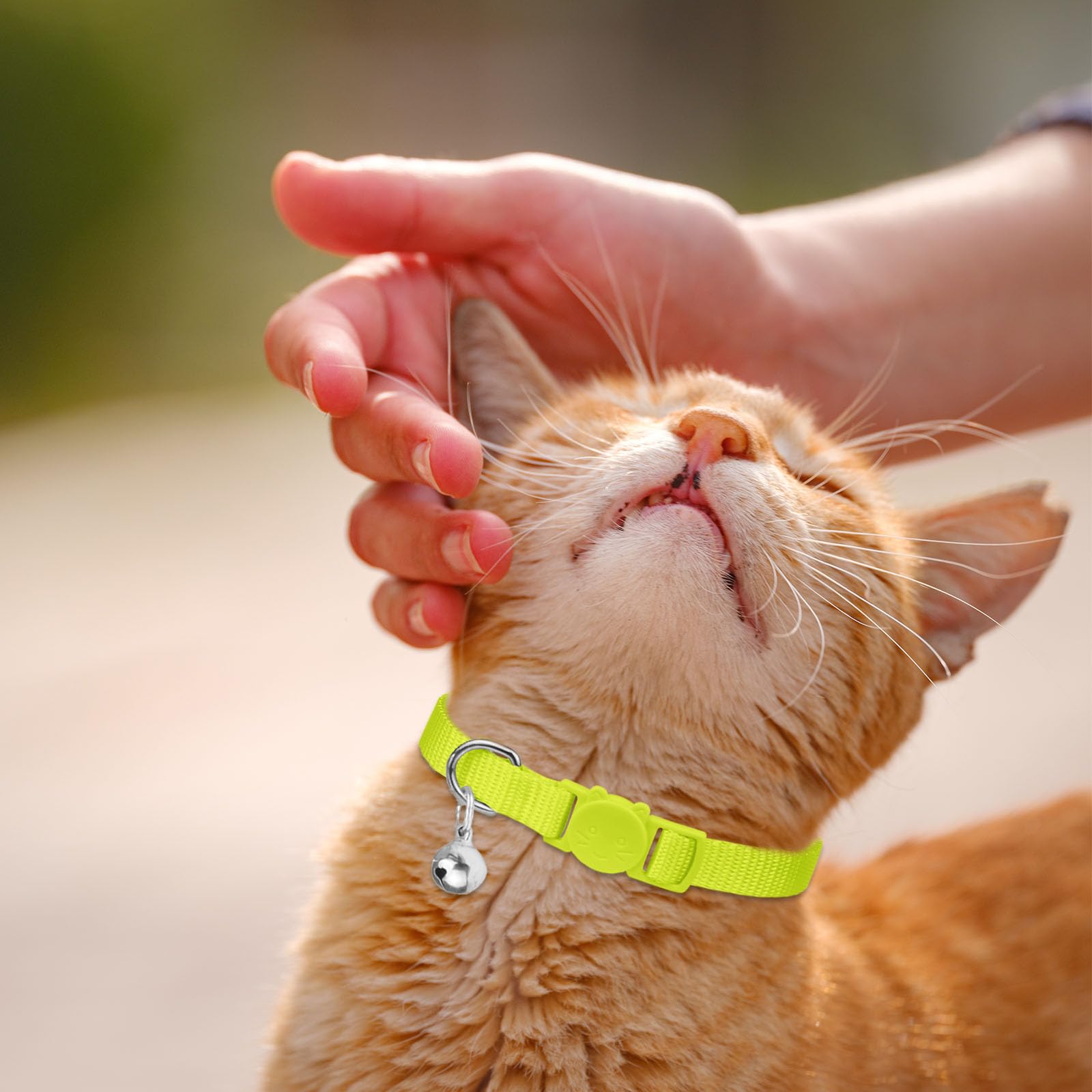Waoduld multi-cat-friendly collar collection for shared homes