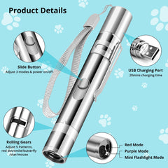 Waputne cat toy pointer with butterfly pattern inviting chasing.