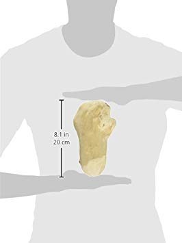 Ware Gorilla Chew Natural Medium close-up texture for durable chewing