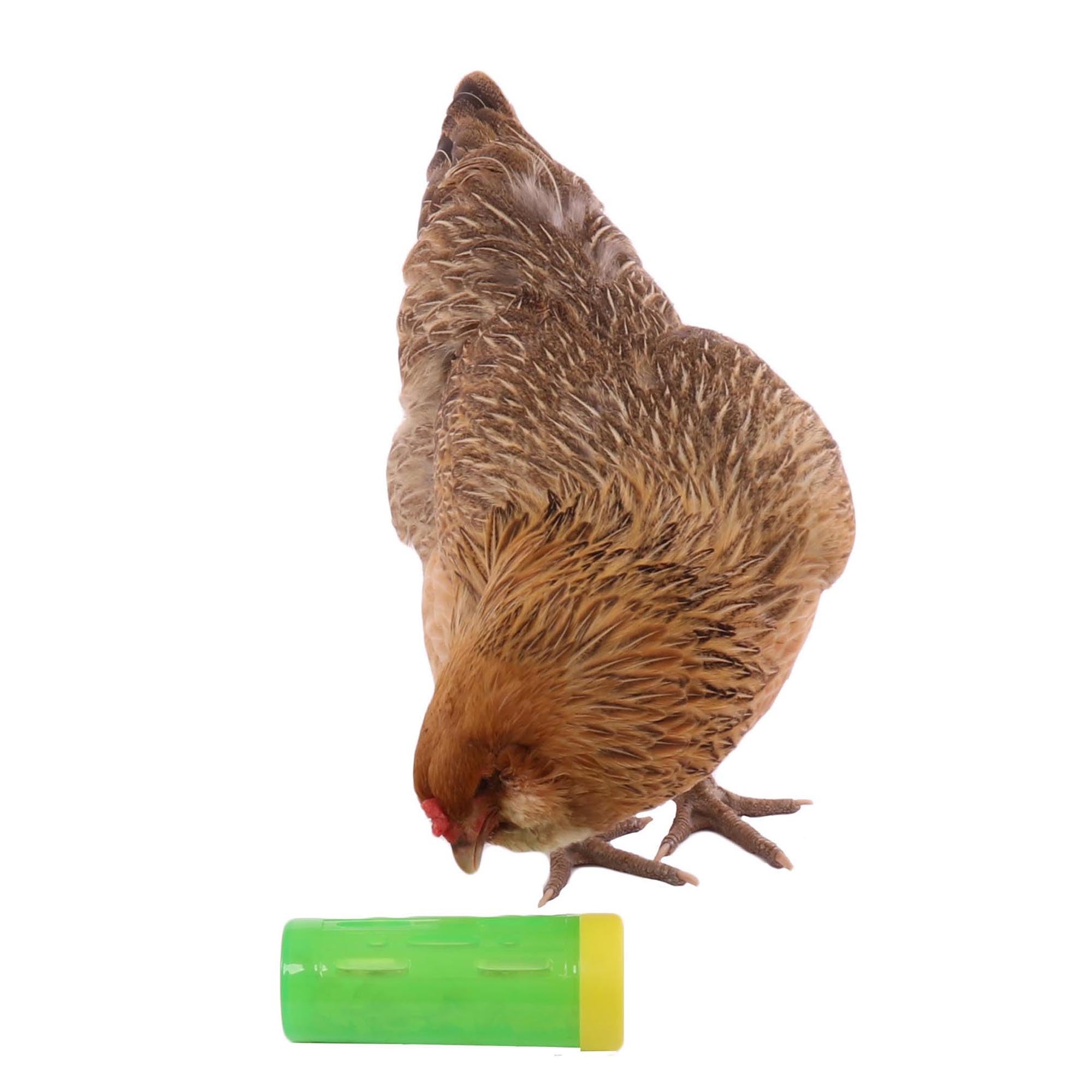 Ware Manufacturing Chicken Treat Roller easy-clean design simplifies maintenance