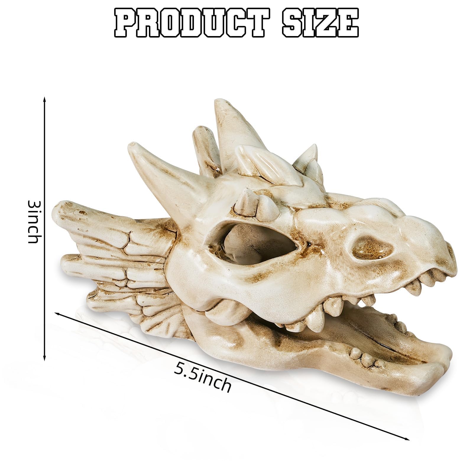 Warmtree Dragon Skull aquarium decoration creates a striking focal point.