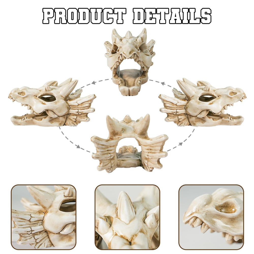 Warmtree Resin Dragon Skull close-up highlights craftsmanship for display.
