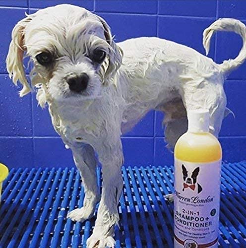 Warren London 2in1 pet shampoo coconut-scent leaves pets smelling fresh afterward