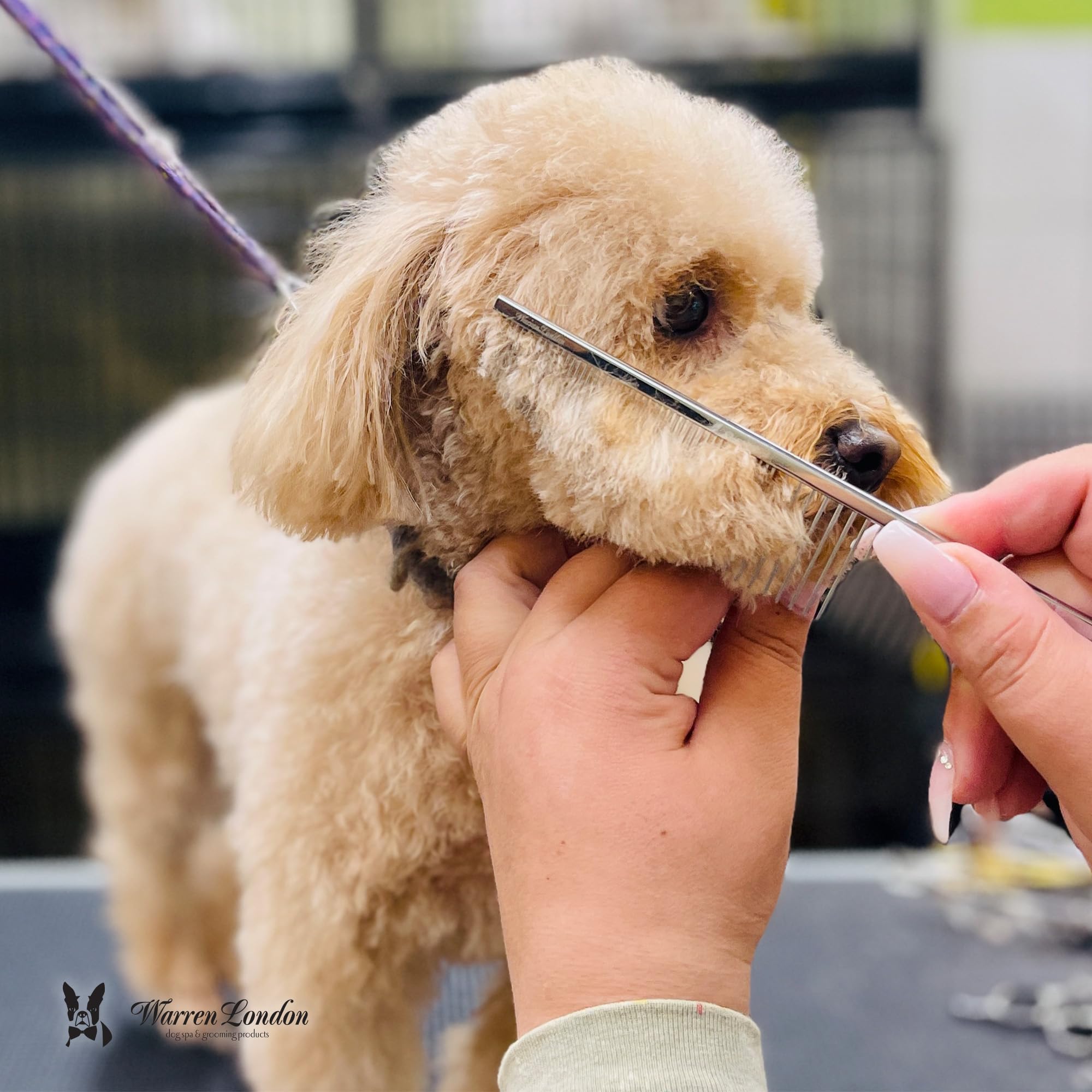 Warren London Copper Crescent Comb rounded teeth closeup for gentle detangling and coat protection