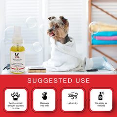 Warren London dog nose closeup shows moisture protection for sensitive areas.