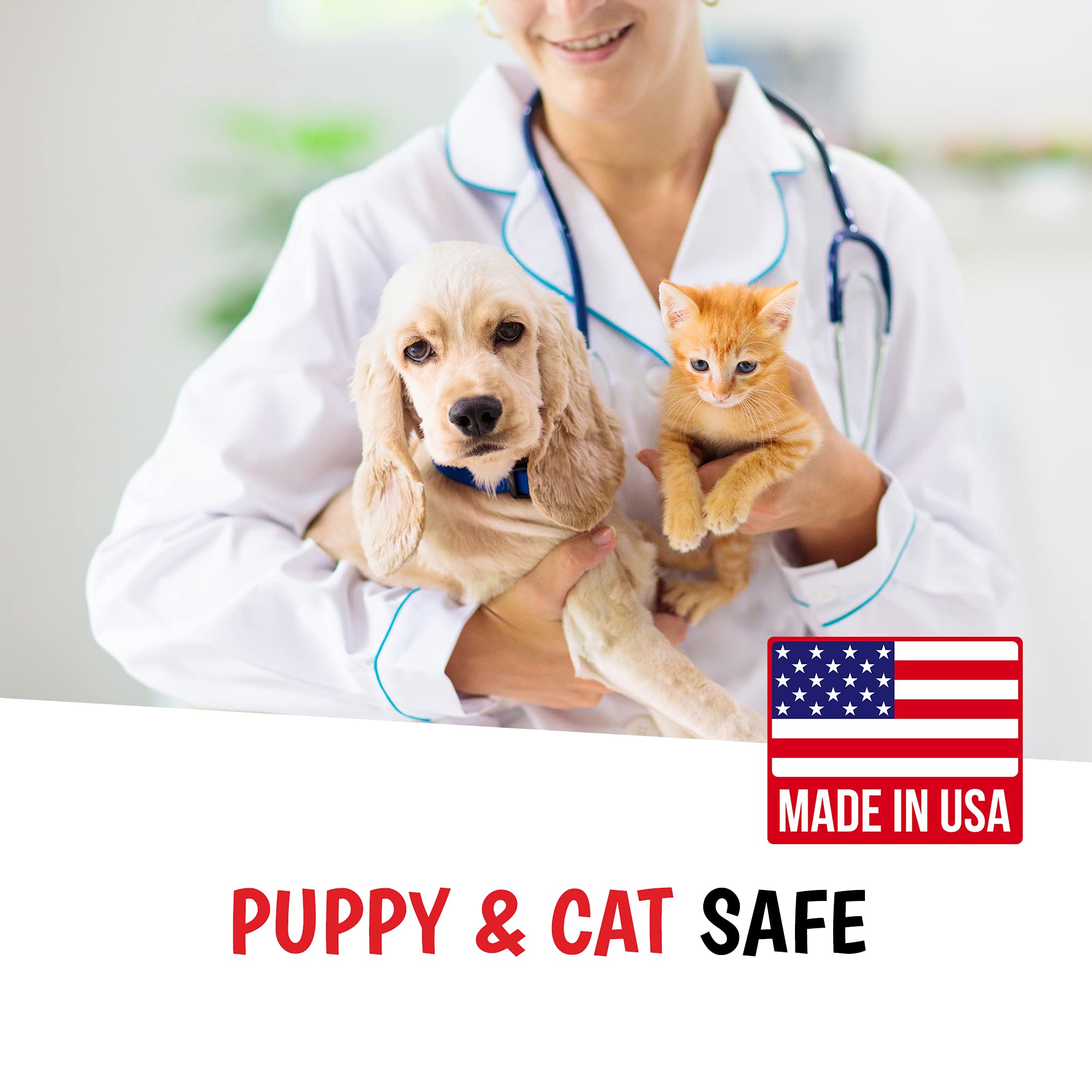 Warren London fresh scent dog spray enhances post-bath aroma.