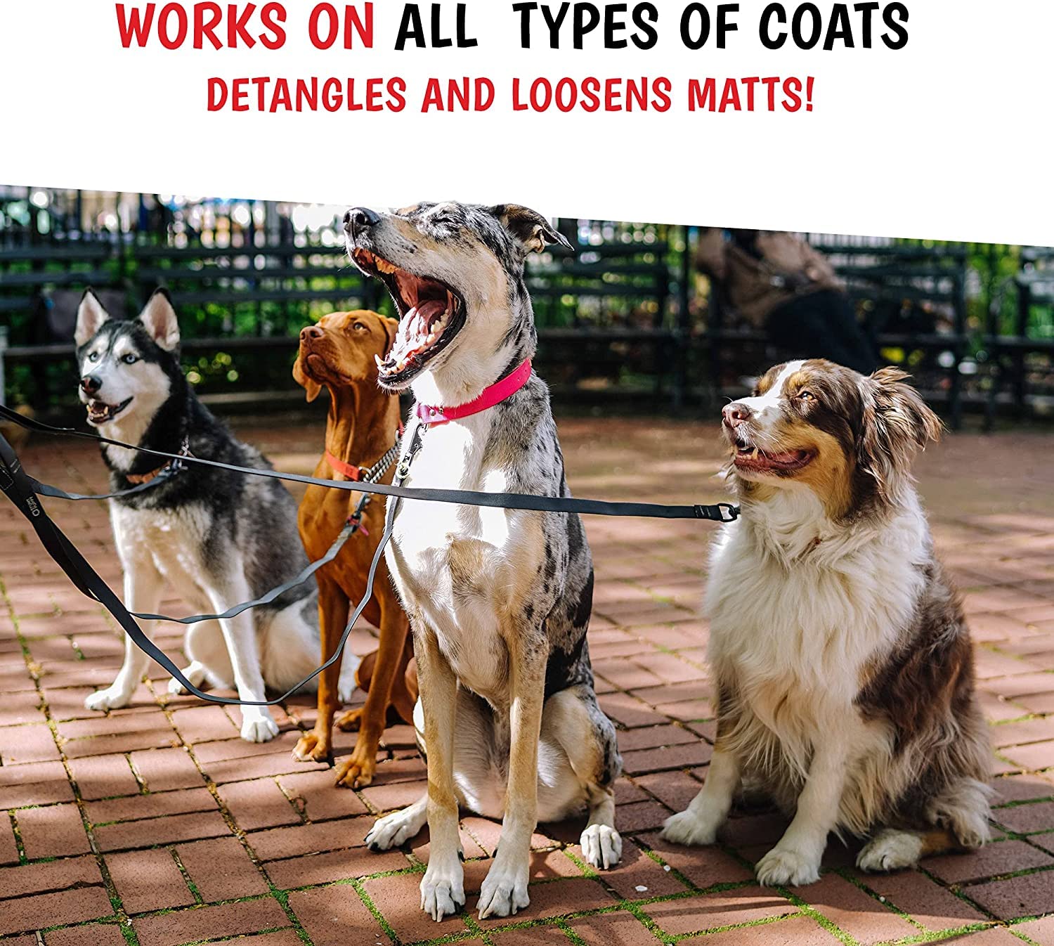 Warren London made in USA dog grooming spray suitable for home or professional use