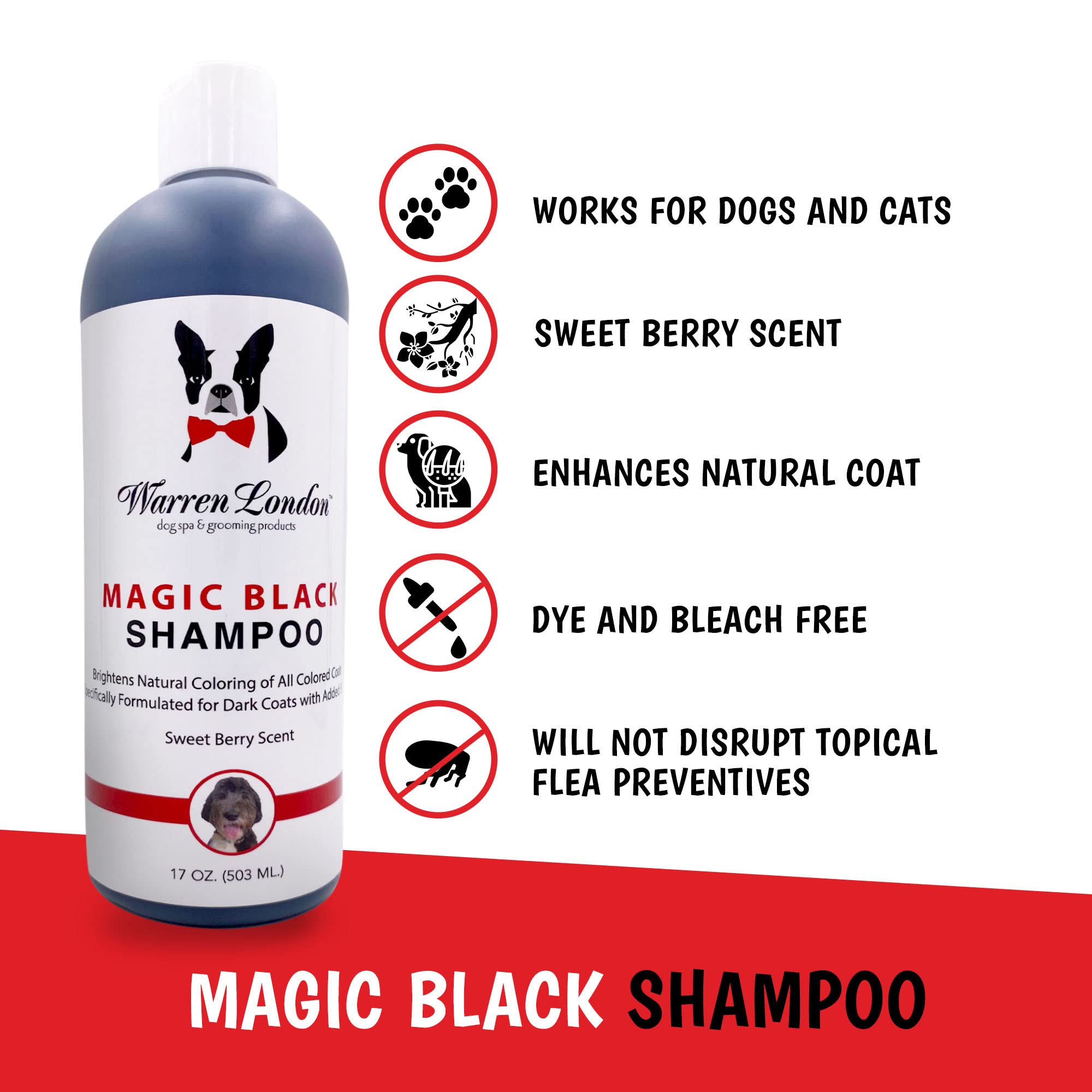 Warren London Magic Black Shampoo being applied to coat with rich lather during bath.