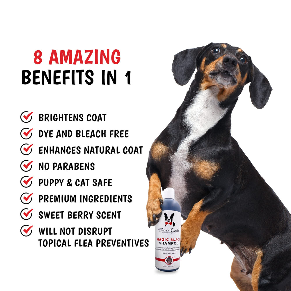 Warren London Magic Black Shampoo after-use coat brightness on a dark-coated dog.