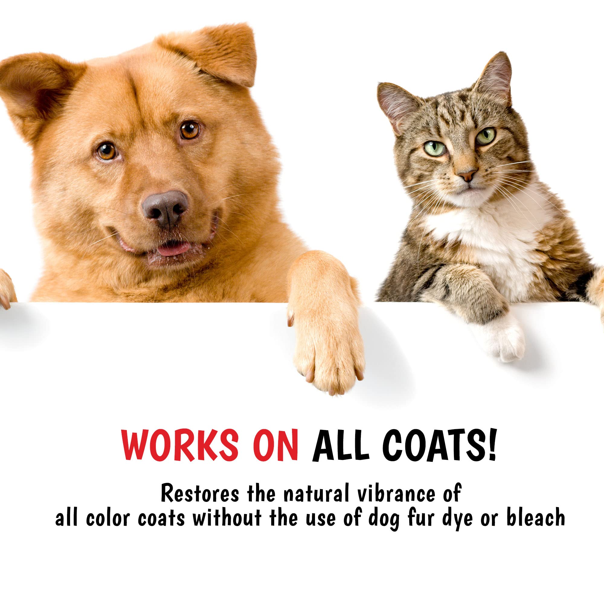 Warren London Magic Black Shampoo bottle with Made in USA badge and cruelty-free claim.