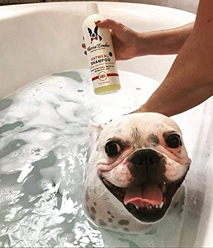 Warren London Oatmeal Dog Shampoo ingredients highlight vitamins neem and coconut