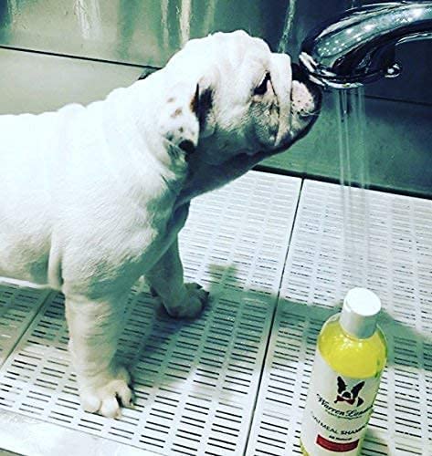 Warren London Oatmeal Dog Shampoo USA-made label on bottle