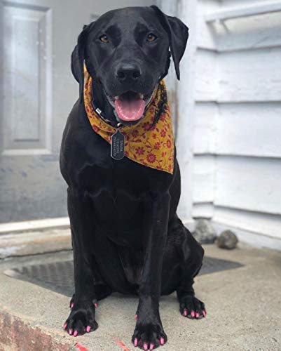 Warren London polish remover enables easy removal