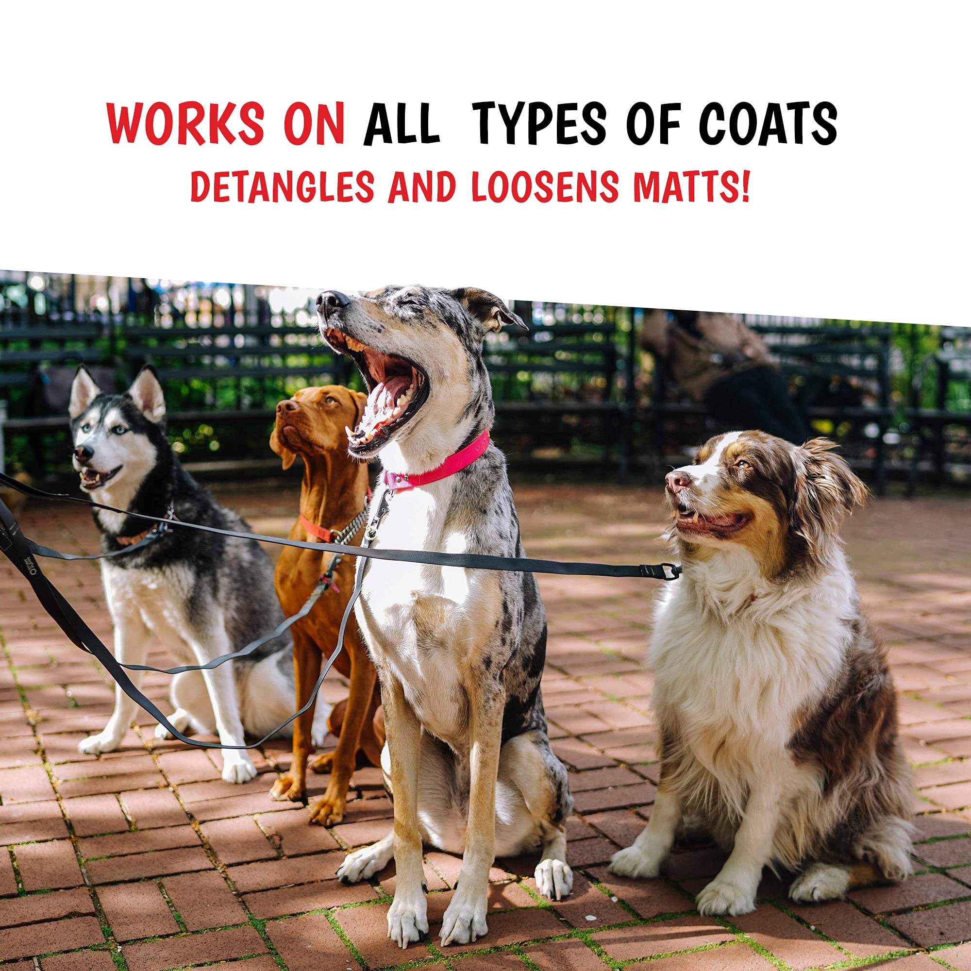 Warren London travel-size 4oz bottle ideal for on-the-go touch-ups.