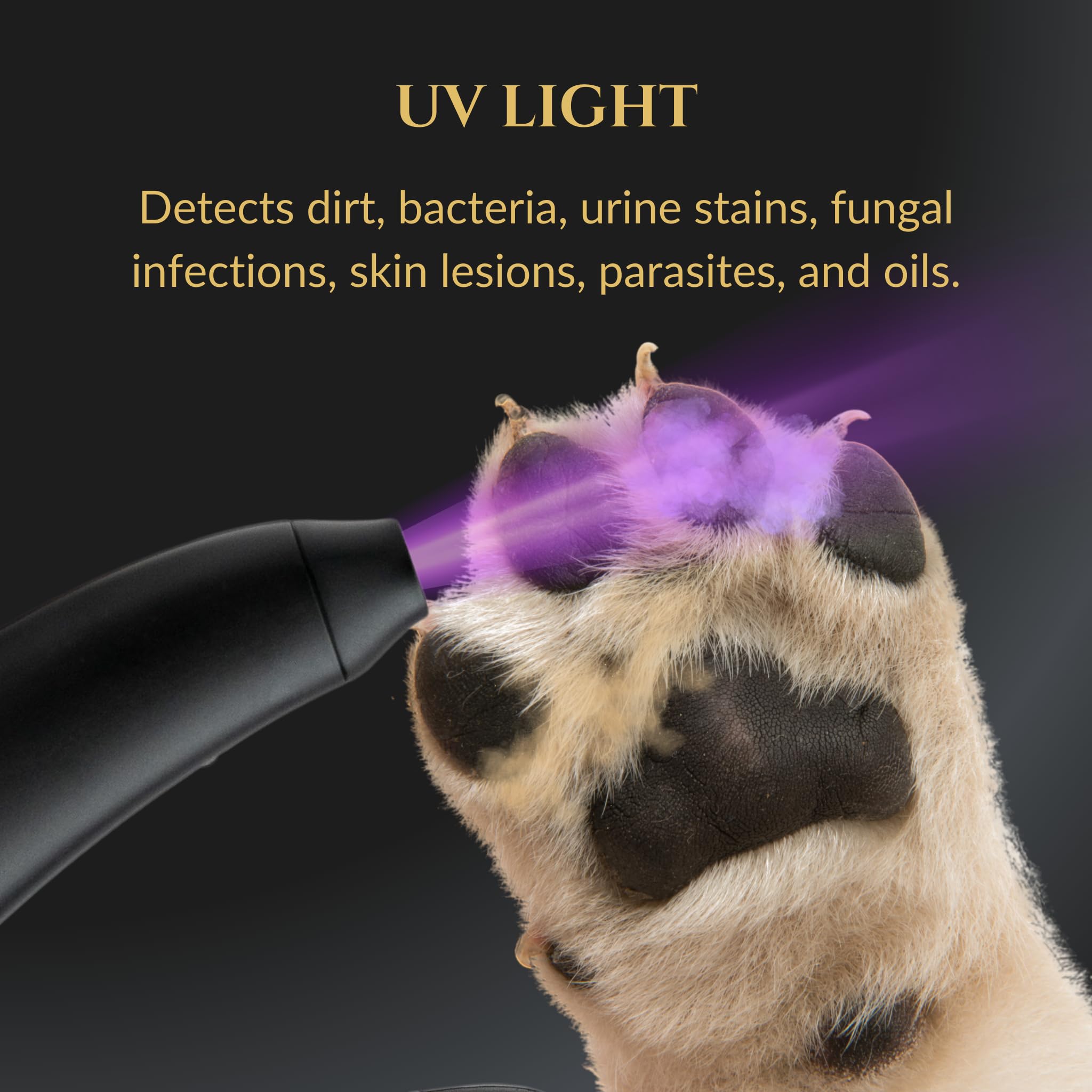 Built-in nail catcher traps clippings for easy cleanup