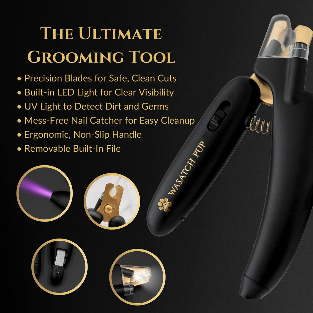 LED light activates during nail trimming for better visibility