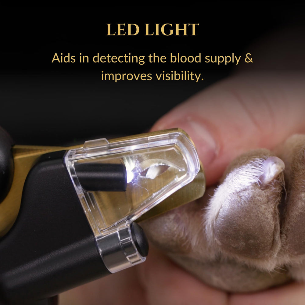 UV light shows dirt and residues on paws and nails