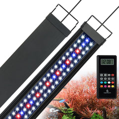 WaterRebirth full-spectrum aquarium light enhances plant growth and fish colors